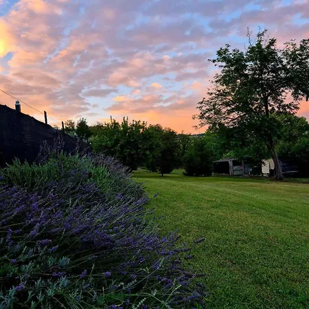 Campidoglio Bed & Breakfast Falerone